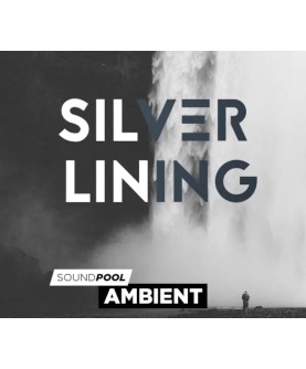 MAGIX Silver Lining ProducerPlanet Other Key GLOBAL